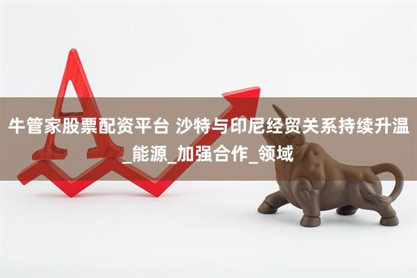 牛管家股票配资平台 沙特与印尼经贸关系持续升温_能源_加强合作_领域