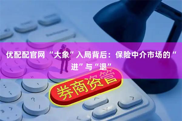 优配配官网 “大象”入局背后：保险中介市场的“进”与“退”