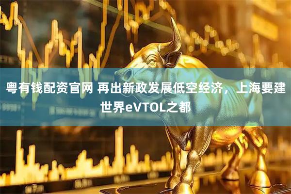 粤有钱配资官网 再出新政发展低空经济，上海要建世界eVTOL之都