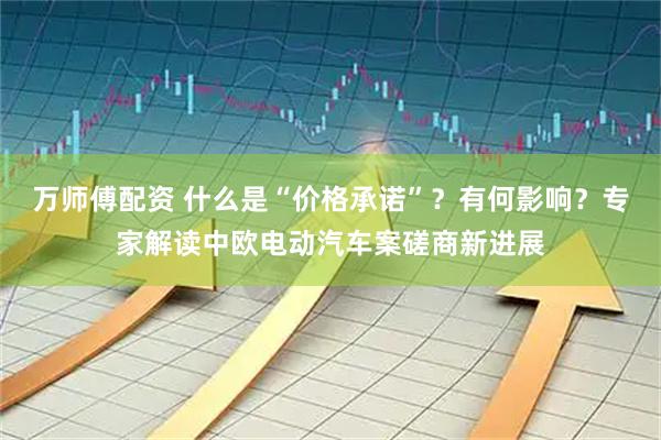 万师傅配资 什么是“价格承诺”？有何影响？专家解读中欧电动汽车案磋商新进展