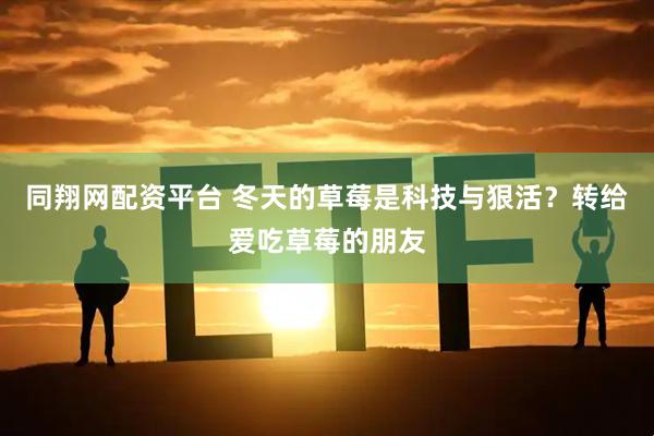 同翔网配资平台 冬天的草莓是科技与狠活？转给爱吃草莓的朋友