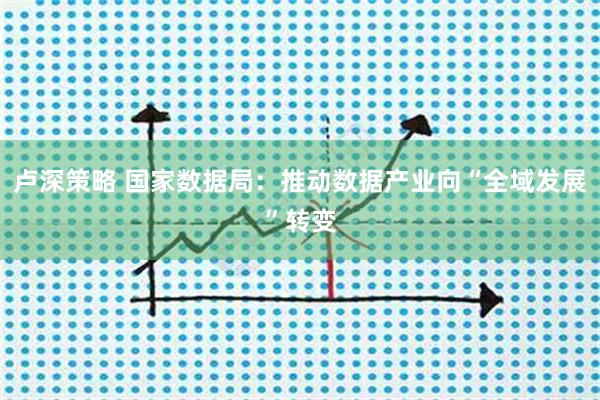 卢深策略 国家数据局：推动数据产业向“全域发展”转变