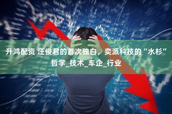 升鸿配资 汪俊君的首次独白，奕派科技的“水杉”哲学_技术_车企_行业