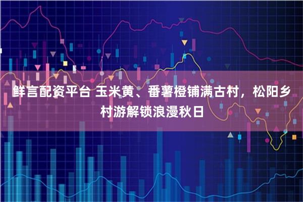 鲜言配资平台 玉米黄、番薯橙铺满古村，松阳乡村游解锁浪漫秋日