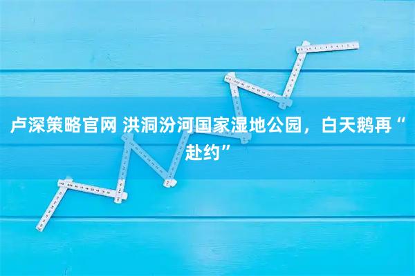 卢深策略官网 洪洞汾河国家湿地公园，白天鹅再“赴约”